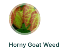 Horny Goat Weed