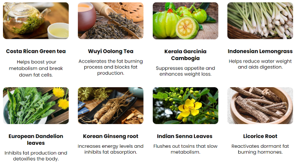 Slim Boost Tea Ingredients