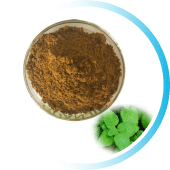 Lemon Balm Extract