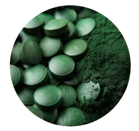 Spirulina