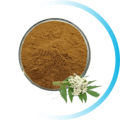 Valerian Extract