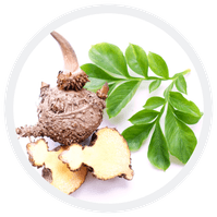 Konjac Root's Powder