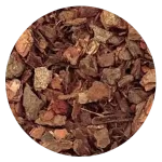 Pine Bark Extract