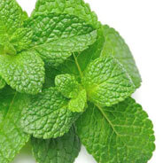 Pure Peppermint Oil