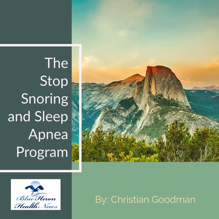 The Stop Snoring and Sleep Apnea Exercise Program Reviews