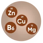 Zinc, Copper, Magnesium, B6